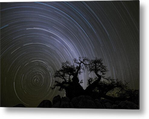 Vincent Grafhorst Metal Print featuring the photograph Baobab And Star Trails Botswana by Vincent Grafhorst