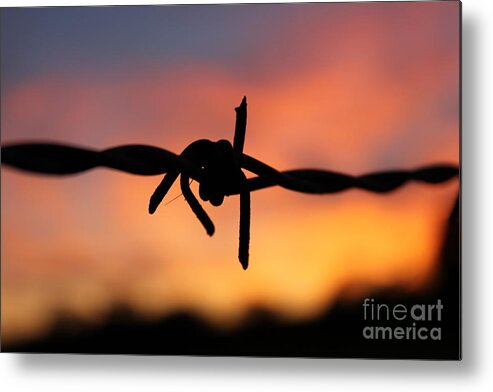 Barbed Metal Print featuring the photograph Barbed Silhouette by Vicki Spindler