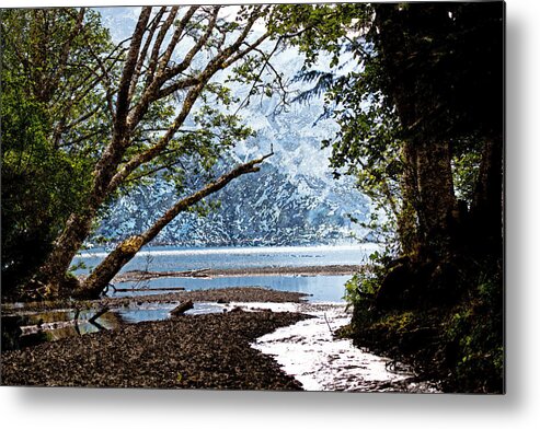 Creeks Metal Print featuring the photograph Barnes Creek at Lake Crescent - Washington by Marie Jamieson