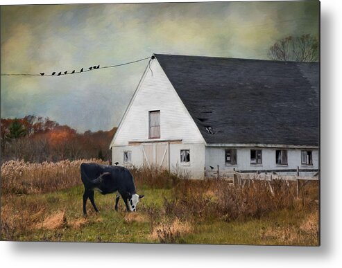 Cow Metal Print featuring the photograph Barnyard Bliss by Robin-Lee Vieira