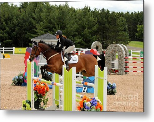 Horse Metal Print featuring the photograph Bay Show Jumper by Janice Byer