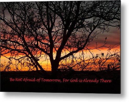 Sillouette Metal Print featuring the photograph Be Not Afraid by Shirley Heier