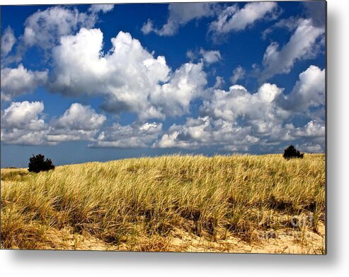 Cape Cod Metal Print featuring the photograph Beach Dunes by Amazing Jules