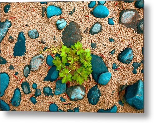 Beach Stones Metal Print featuring the photograph Beach Treasures III by Bonnie Bruno