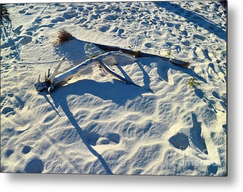 Turks And Caicos Metal Print featuring the photograph Beach Treasures by Judy Wolinsky