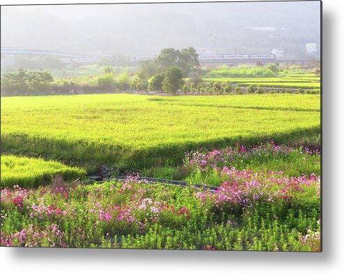Taiwan Metal Print featuring the photograph Beautiful Autumn by Higrace Photo