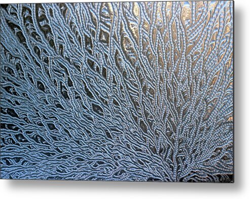 Frost Metal Print featuring the photograph Beautiful Chaos by David Pickett