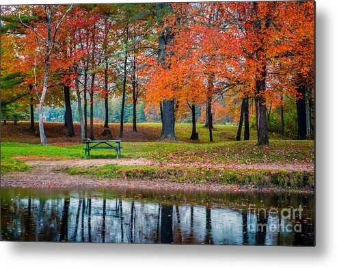 Fall Metal Print featuring the photograph Beautiful Fall Foliage in New Hampshire by Edward Fielding