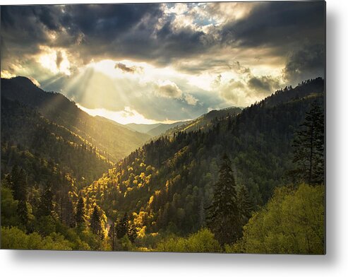 Smokies Metal Print featuring the photograph Beauty after the Storm by Andrew Soundarajan