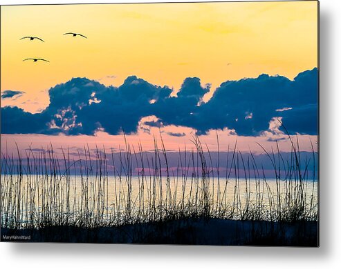 Break Of Day Metal Print featuring the photograph Beauty and the Birds by Mary Hahn Ward