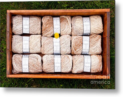 Beige Metal Print featuring the photograph Beige Wool by Les Palenik