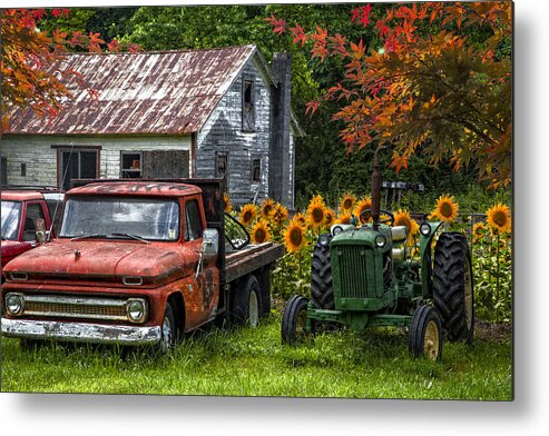Appalachia Metal Print featuring the photograph Best Friends by Debra and Dave Vanderlaan