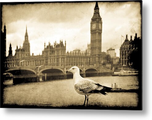 Pictorial Metal Print featuring the photograph Big Ben and the Seagull by Jennifer Wright