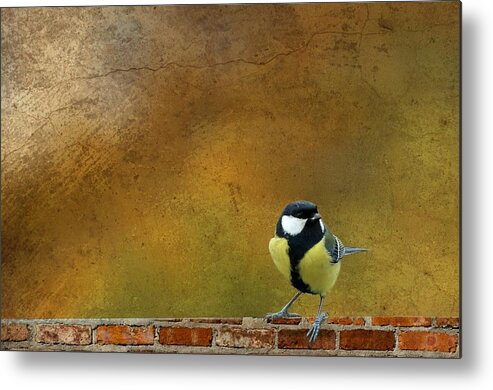 Bird Metal Print featuring the photograph Bird by Heike Hultsch