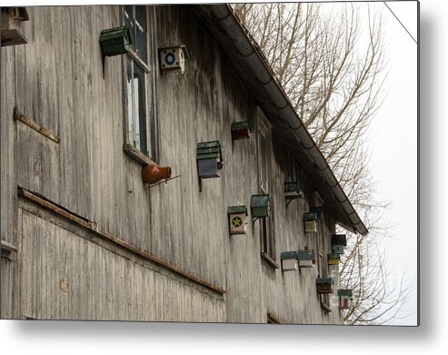 Bird Houses Metal Print featuring the photograph Bird Houses by Jay Ressler