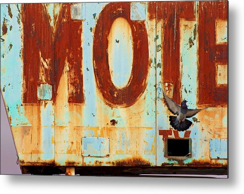 Neon Metal Print featuring the photograph Bird Motel No.4 by Daniel Woodrum