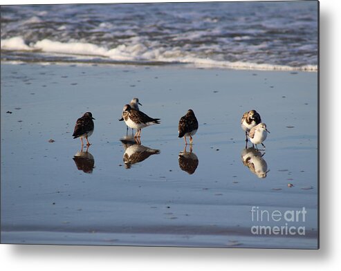 Bird Metal Print featuring the photograph Bird Reflections by Andre Turner