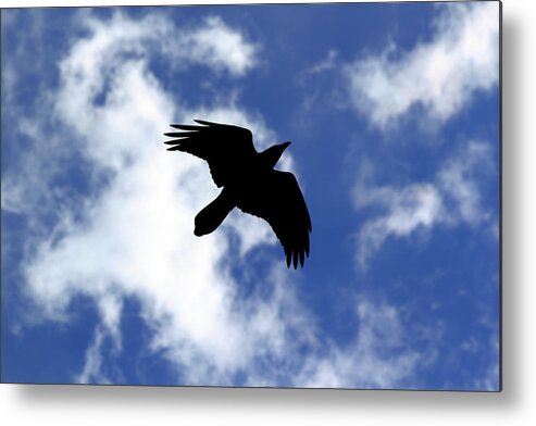 Raven Metal Print featuring the photograph Black Above by Shane Bechler