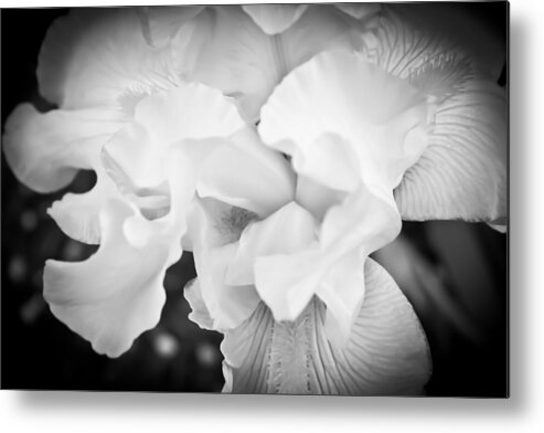 Hibiscus Metal Print featuring the photograph Black and White Hibiscus by Kara Stewart