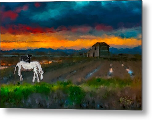 Rice Field Metal Print featuring the photograph Black Cat on a White Horse by Juan Carlos Ferro Duque