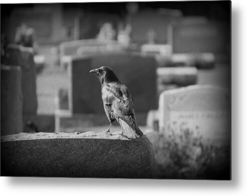 Crow Metal Print featuring the photograph Black Crow on Grave Stone by Valerie Collins