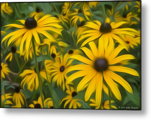 Flowers Metal Print featuring the photograph Black Eyed Susans by Erika Fawcett