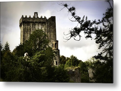 Blarney Castle Metal Print featuring the photograph Blarney Castle by Nadalyn Larsen