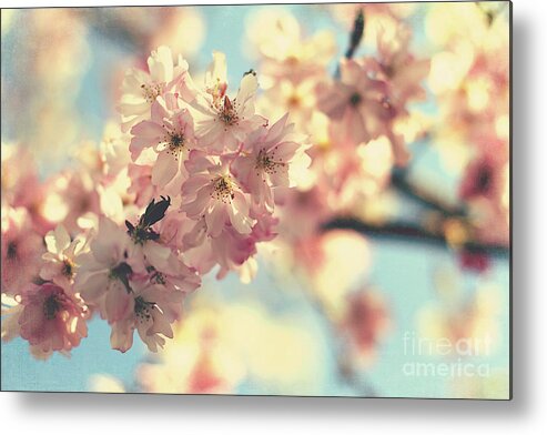 Flowers Metal Print featuring the photograph Bliss by Sylvia Cook