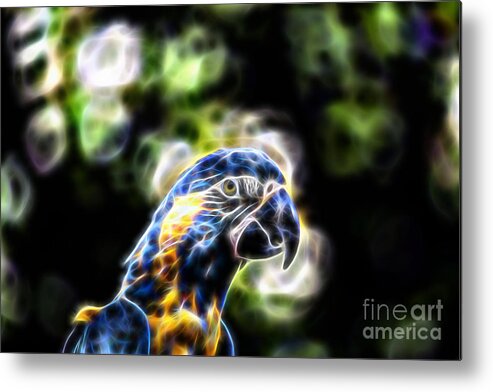 Blue Gold Macaw Metal Print featuring the photograph Blue and Gold Macaw V4 by Douglas Barnard