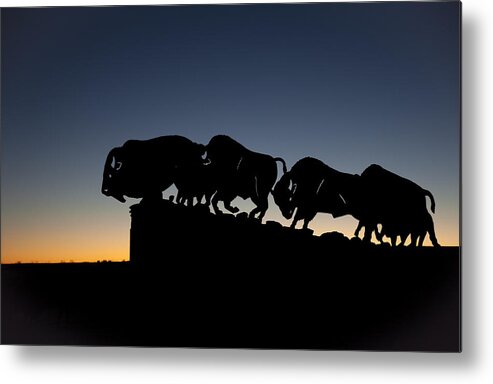 Animals Art Metal Print featuring the photograph Blue Hour at Caprock Canyons State Park by Melany Sarafis