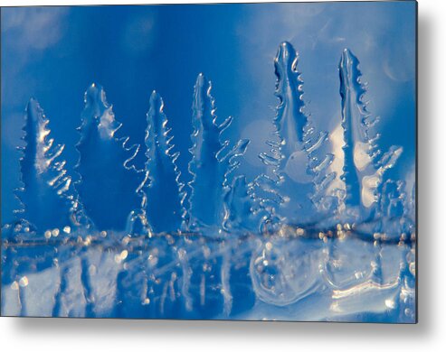 Ice Metal Print featuring the photograph Blue Ice Forest at the Edge of a Blue Ice Lake by Steve Myrick