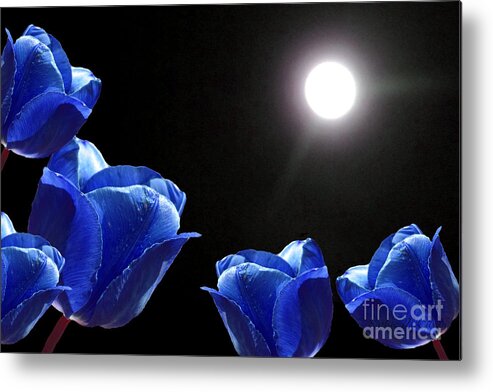 Kathie Mccurdy Metal Print featuring the photograph Blue Tulips in the Moonlight by Kathie McCurdy