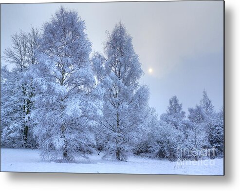 Winter Metal Print featuring the photograph Blue Winter by David Birchall