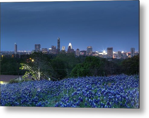 Austin Metal Print featuring the photograph Bluebonnet Twilight by Dave Files