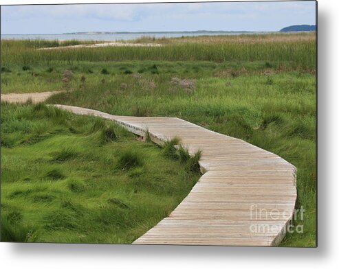 Boardwalk Metal Print featuring the photograph Boardwalk to the Beach by Jayne Carney