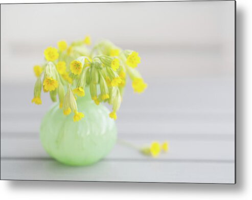 Vase Metal Print featuring the photograph Bouquet Of Cowslip Primrose by Elin Enger