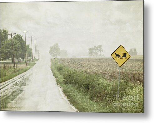 Rural Metal Print featuring the photograph Brake for Buggies by Diane Enright