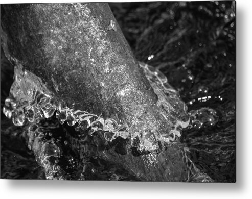 Black And White Metal Print featuring the photograph Branch Ice Water by Beth Venner