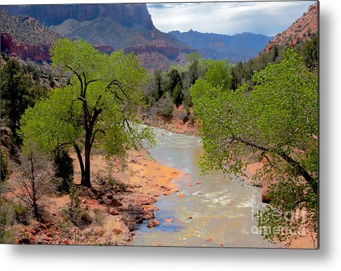 Zion National Parks Metal Print featuring the photograph Bridge View Of The Virgin River by Robert Bales