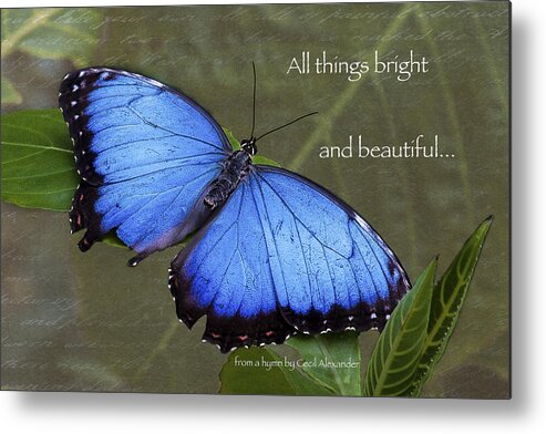 Karen Stephenson Photography Metal Print featuring the photograph Bright and Beautiful by Karen Stephenson