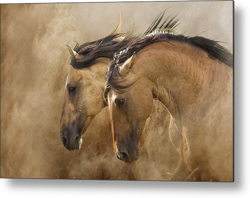 Equine Metal Print featuring the photograph Brothers of the Wind by Ron McGinnis