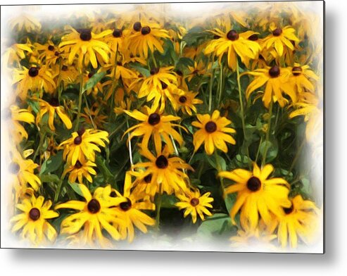 Flowers Metal Print featuring the photograph Brown Eyed Susans by Monroe Payne