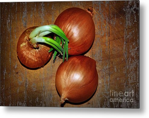 Photography Metal Print featuring the photograph Brown Onions by Kaye Menner