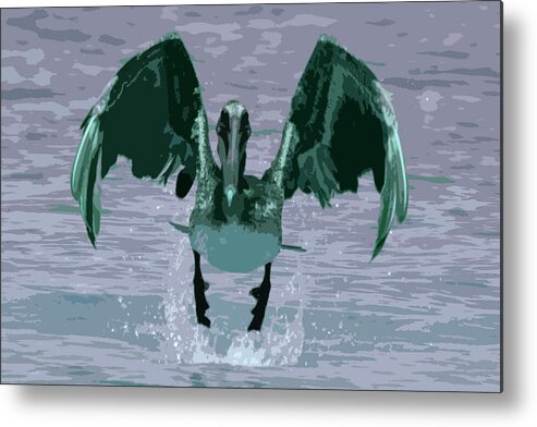 Brown Metal Print featuring the photograph Brown Pelican by Carol McCarty