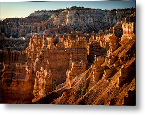 Bryce Canyon Metal Print featuring the photograph Bryce Canyon II by Jeff Burton