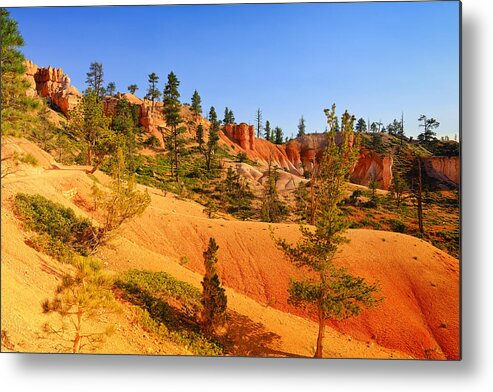 Bryce Canyon Metal Print featuring the photograph Bryce Delicate Landscape by Greg Norrell