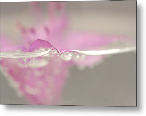 Flower Metal Print featuring the photograph Bubbelicious by Tasha ONeill