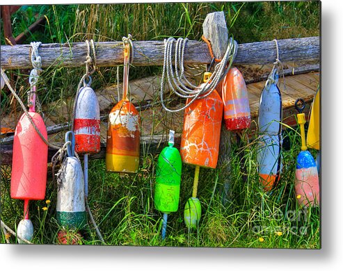 Buoy Metal Print featuring the photograph Buoy's Rest by Brenda Giasson