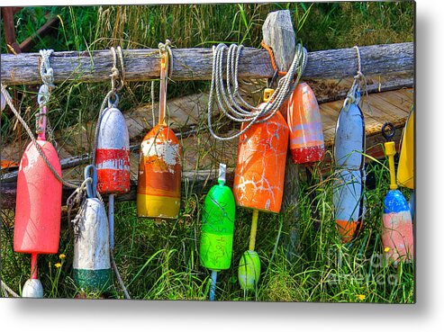 Swanson Collection Metal Print featuring the photograph Buoy's Resting 2 by Brenda Giasson