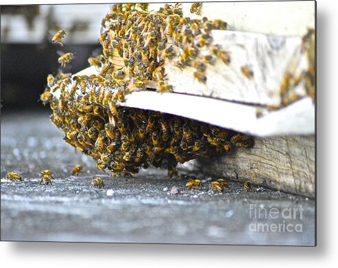  Metal Print featuring the painting Busy Bees by Laura Forde